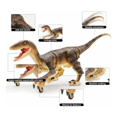 Raptor 3