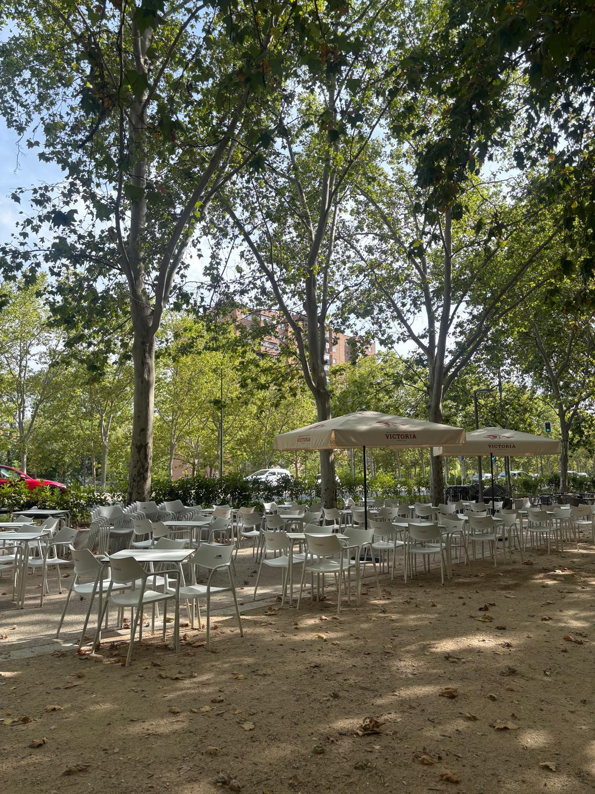 variedad de bebidas, cervezas, coctails y vinos