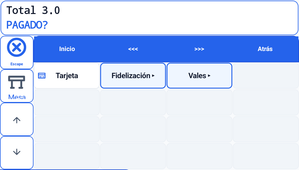 Recorte real de la pantalla de formas de pago