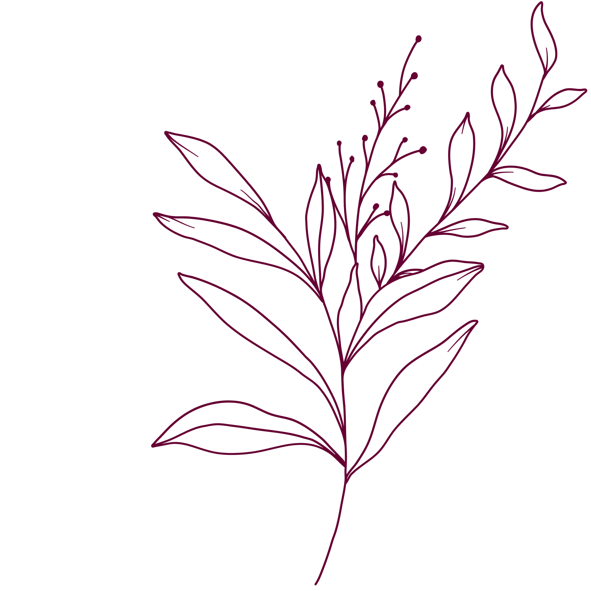 linea decorativa vegetal