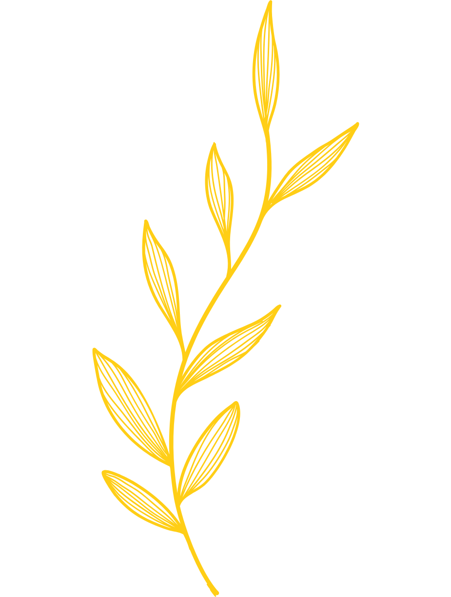 linea deocrativa vegetal