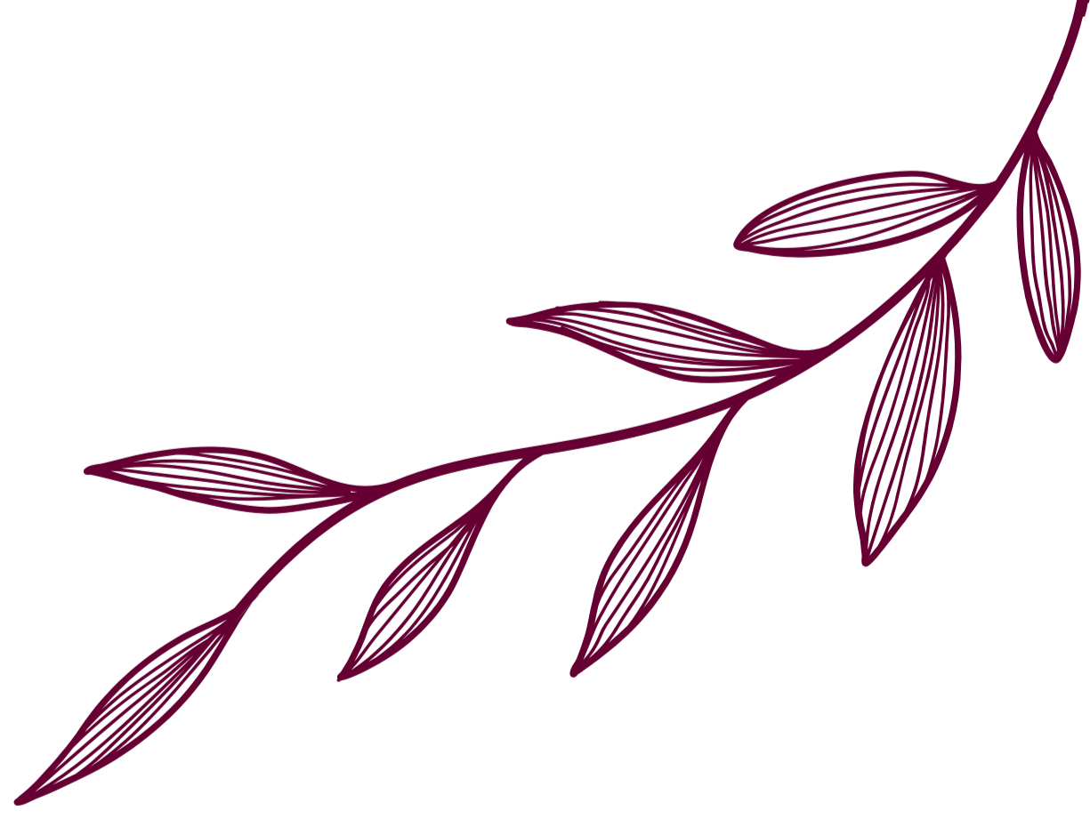 linea decorativa vegetal