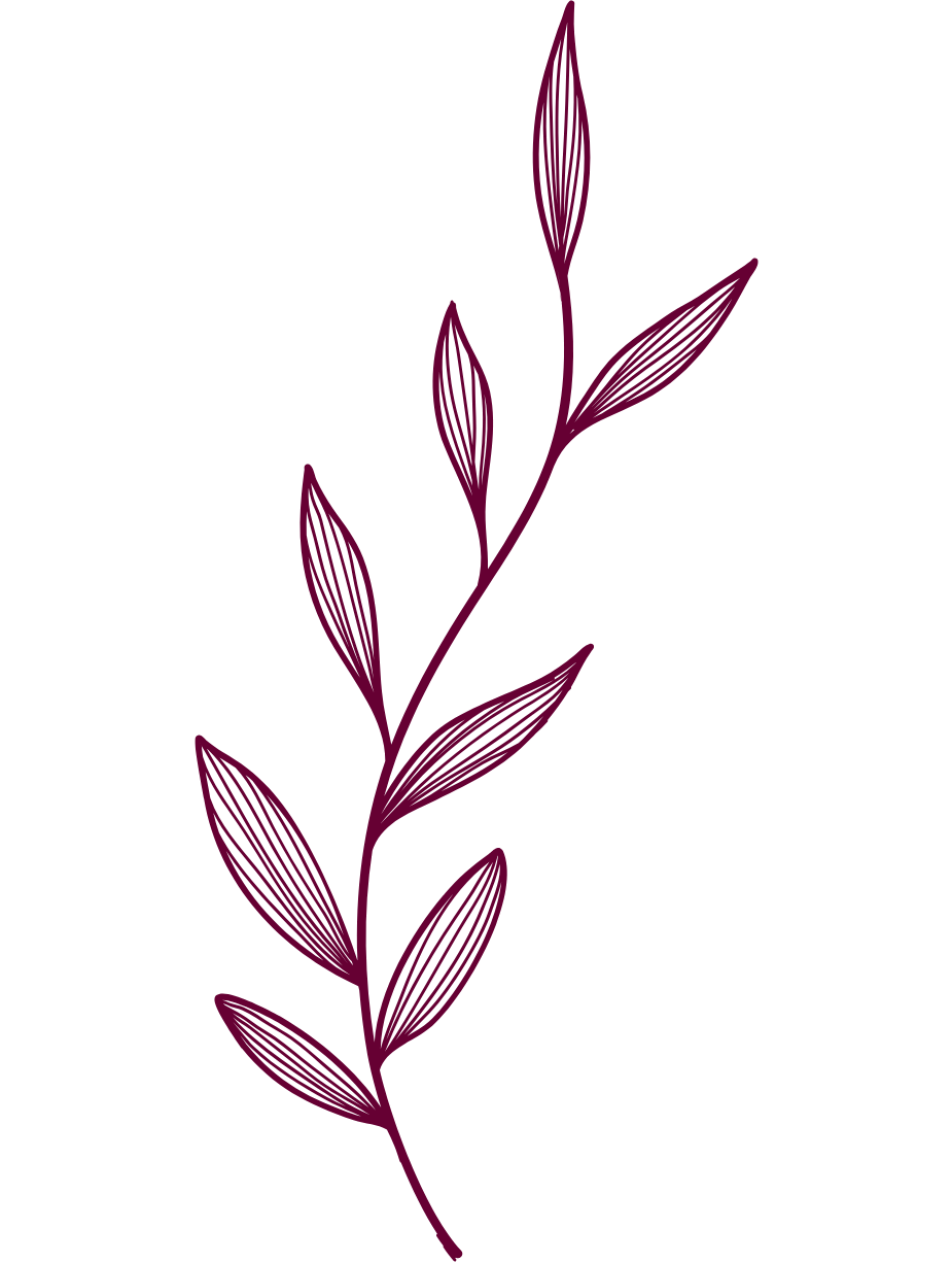 linea decorativa vegetal