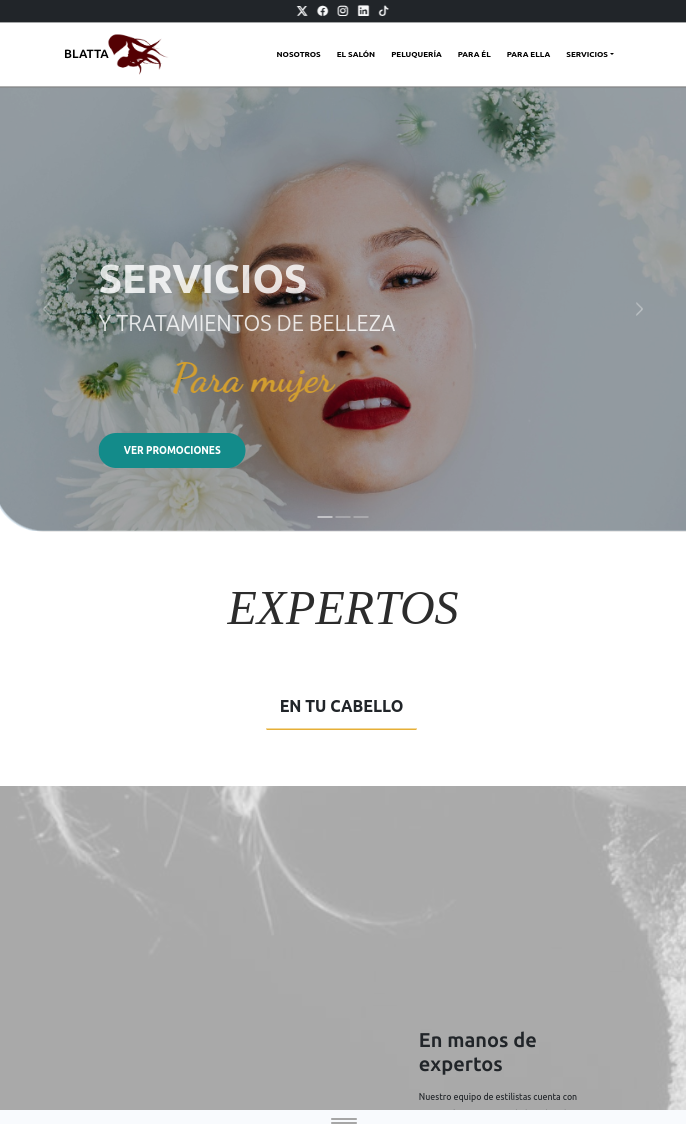 Estilismo