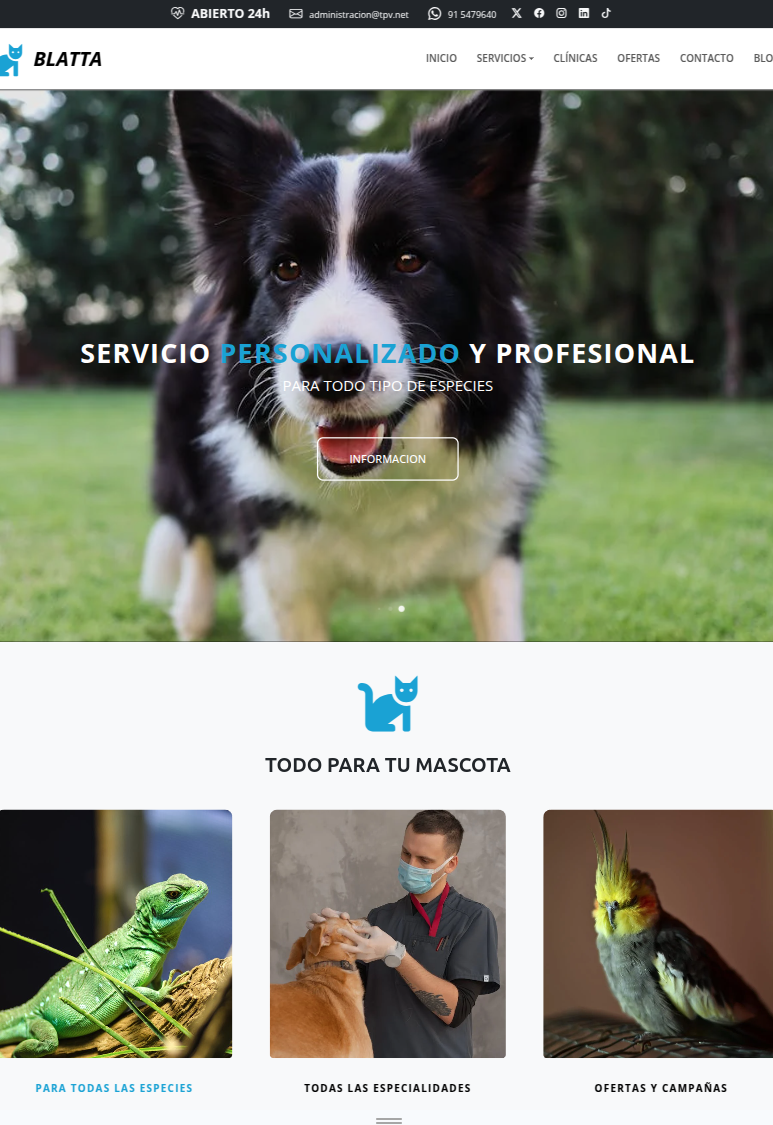 web veterinario