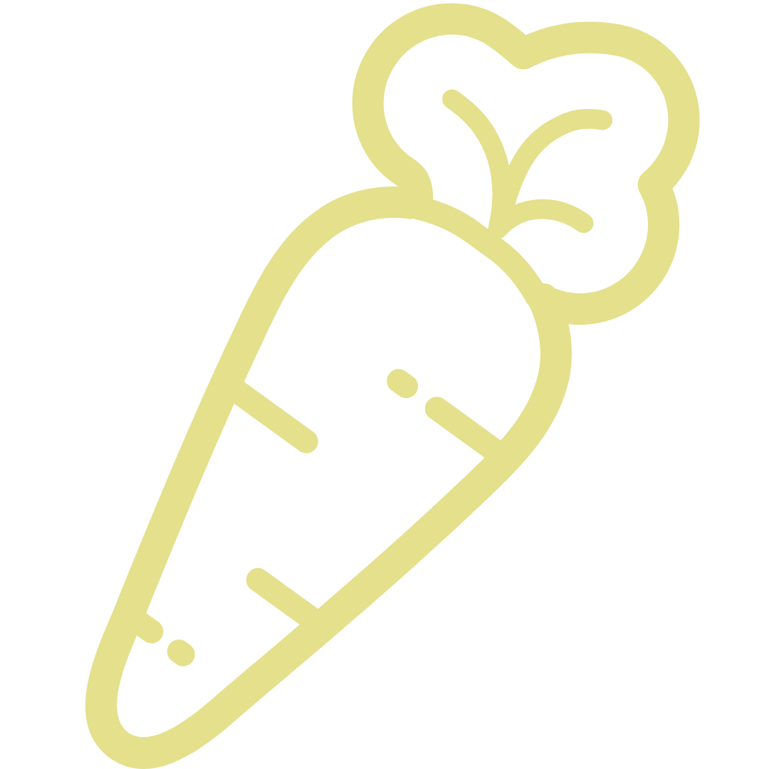ICONO