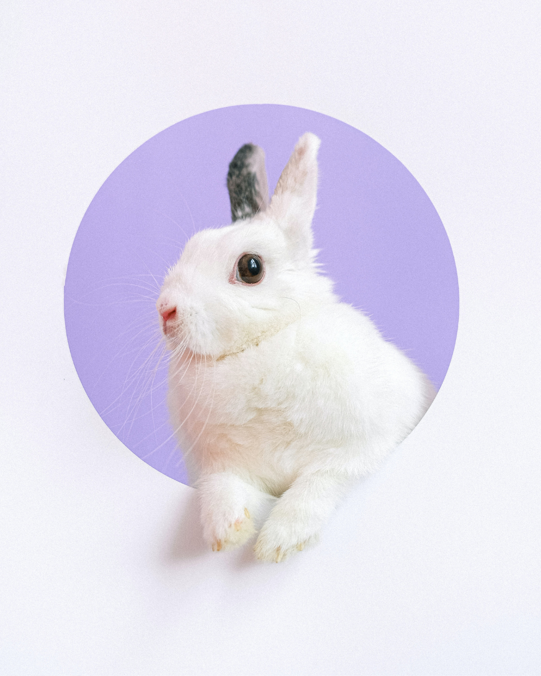 Examples of different types of sprints